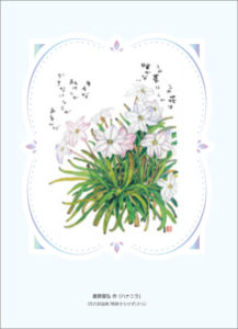 星野富弘氏・花の詩画クリアファイル